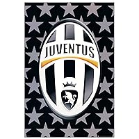 Logo Juventus (Decorative Panel 24x36 inches), 24