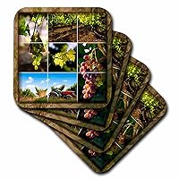 3dRose CST_36514_3 Napa Valley Collage-Ceramic Tile Coasters, Set of 4