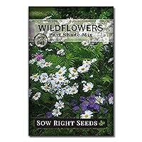Sow Right Seeds - Wildflowers Seeds Mix for Planting in Partial Shade - Non-GMO Heirloom Packet with Instructions to Grow a Native Wild Flower Garden - Annual and Perennial Varieties for Pollinators