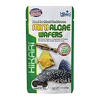Hikari Mini Algae Wafers, 0.77 oz