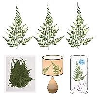36PCS Pressed Iron Wire Fern Leaves Dried Fern Leaves for Resin, DIY Crafts Scrapbooking Making Embellishment