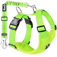 Lukovee Dog Seat Belt for Car, Adjustable Dog Car Harness for Large Medium Small Dogs, Soft Padded & Breathable Mesh Dog Seatbelt with Car Strap and Carabiner(Lime Green Double Clip,Medium)