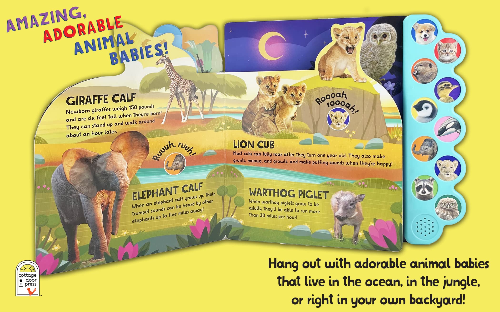 Amazing, Adorable Animal Babies: Listen to Baby Animal Sounds - 10-Button Sound Book for Toddlers and Children