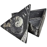 Large Triangle Shaped Polished Ammnoite Fossil Jewelry Box from Morocco!