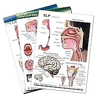 SLP Chart and Voice, Swallowing Tablets, Set-50 Sheets Per Tablet-2 Tablets Per Package-8 1/4