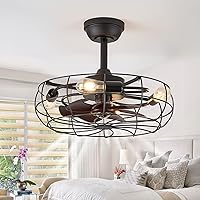LEDIARY Caged Ceiling Fan with Light, Farmhouse Small Ceiling Fan with Remote, Industrial Black Bladeless Ceiling Fan for Bedroom, Kitchen, Indoor&Outdoor