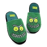 Rick and Morty Unisex Slippers Adults Pickle Rick Green House Sliders