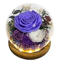 Long-Lasting Real Flowers, Unique Floral Gift For you to send Love for All Occasions, for Indoor Decoration (Violet Rose, Purple rose, White Austin Rose)