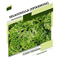 Selaginella (Spikemoss): Closed terrarium, Beginner's Guide