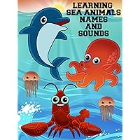 Learning Sea Animals Names And Sounds