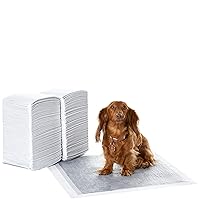 Amazon Basics Carbon Odour-Control Dog and Puppy Training Pads, Leakproof with Quick-Dry Surface, Regular, Pack of 120, Gray