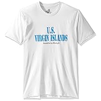 U.s. Virgin Islands Graphic Premium Fitted Suided V-Neck