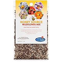 Honey Source Wildflower Seeds Mix for Honey Bees 1oz - Premium Annual and Perennial Flower Seed Mix – Bulk Planting for Pollinator