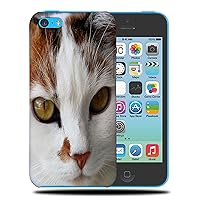 Adorable CAT Kitten Feline #148 Phone CASE Cover for Apple iPhone 5C