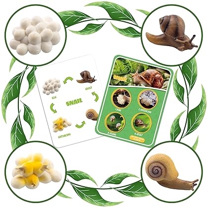 DQstar Life Cycle Figures of Praying Mantis, Ladybug, Snails, Scorpion, Crocodile, Snake, Science Toys kit, Animal Figures for Kids Age 3-12