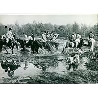 Hunting with Hounds. - Vintage Press Photo