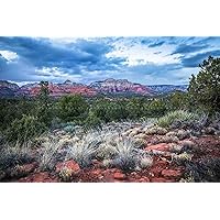 Western Photography Print (Not Framed) Picture of Red Rocks and Desert Landscape on Chilly Spring Evening near Sedona Arizona Nature Wall Art Southwestern Decor (5