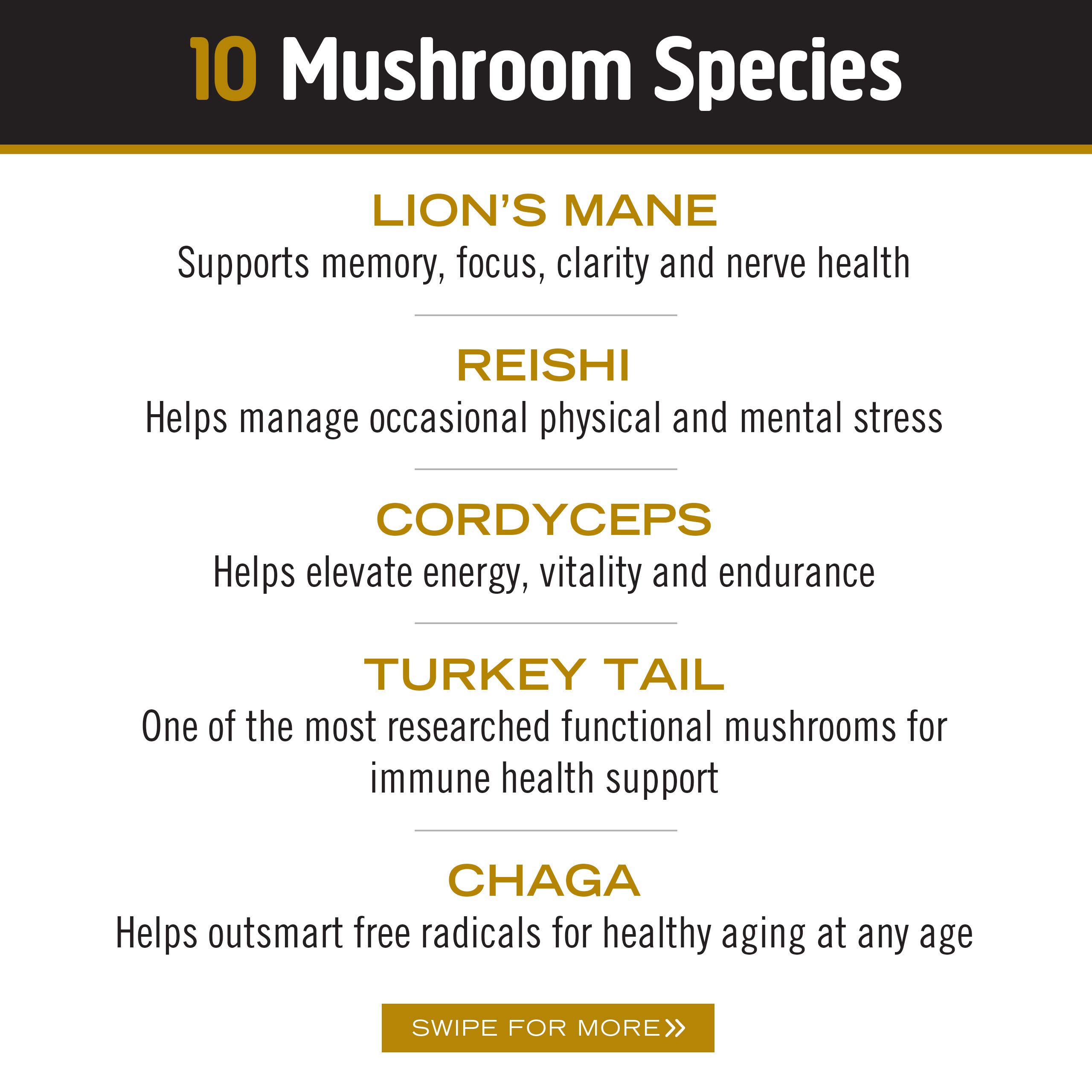 Om Mushroom Superfood Master Blend Mushroom Powder Supplement, 3.17 Ounce, 34 Servings, 10 Mushroom Complex, Lions Mane, Chaga, Cordyceps, Reishi Extract Adaptogens for Vibrant Health, Immune Support