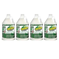 Professional Disinfectant and Odor Eliminator Concentrate, 4-Pack, 1 Gallon Each, Original Eucalyptus Scent