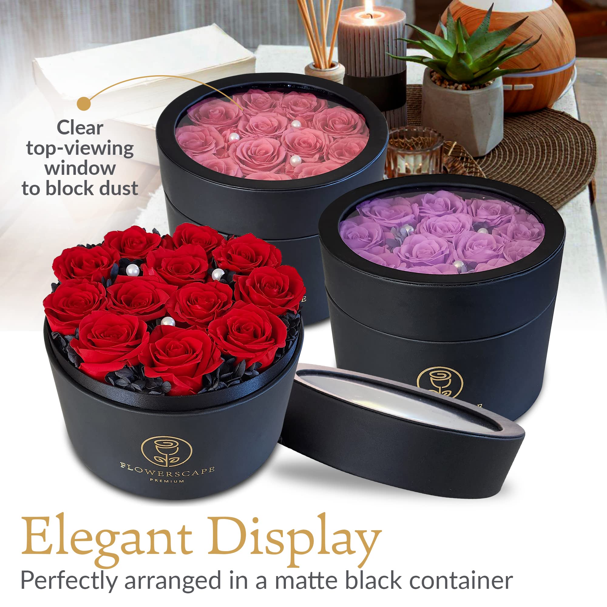 Mua Flowerscape Premium - 12 Preserved Roses Luxury Floral Gifts ...