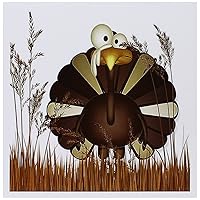 3dRose Funny Turkey in Tall Fall Grasses for Thanksgiving, Greeting Cards, Set of 6 (gc_164721_1)