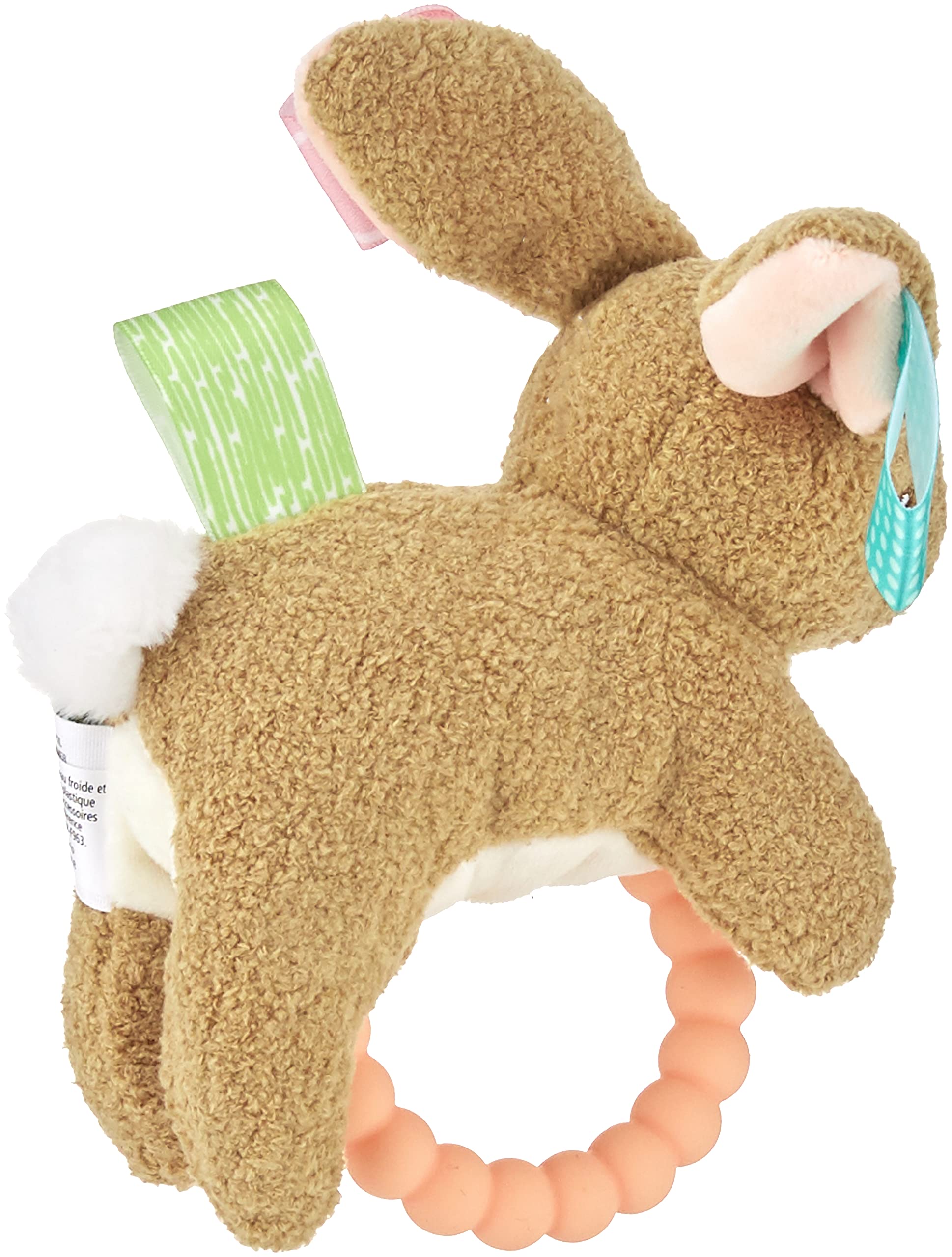 Taggies Teether Baby Rattle, 6