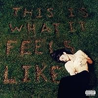 This Is What It Feels Like[LP] This Is What It Feels Like[LP] Vinyl MP3 Music