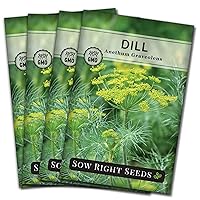 Sow Right Seeds - Dill Seed for Planting - Non-GMO Heirloom Packet with Instructions to Plant and Grow Herb Garden - Indoors or Outdoors - Homemade Dill Pickles - Wonderful Companion Plant (4)