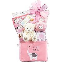 Newborn Baby Girl Gift- The Oh Baby Pink Baby Girl Gift Basket by Wine Country Gift Baskets