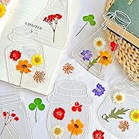 Krinisou Dried Flower Bookmarks Making Kit, Transparent DIY Bookmarks Craft Set with 36pcs Pressed Flowers, 20pcs Clear Mason Jar Stickers & Instructions