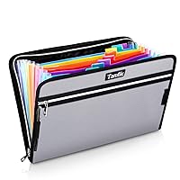 Fireproof Safe Waterproof Accordion File Bag Folder Expanding Filing Folder with 14 Multicolored Pockets, A4 Letter Size, Document Organizer Holder and Color Labels /2 Zipper (Silver 14.3