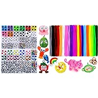 1000pcs Pipe Cleaners + 2310pcs Googly Wiggle Eyes, Art and Craft Supplies.