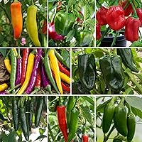Hot & Sweet Pepper Seed Collection for Planting - 8 Varieties Pack, Jalapeno, Habanero, Bell Pepper, Cayenne, Hungarian Hot Wax, Anaheim, Serrano, Ancho Poblano Heirloom Seeds