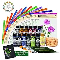 FolkArt One Stroke Donna Dewberry Flowers of the Month Let's Paint Kit, 36 Piece Set