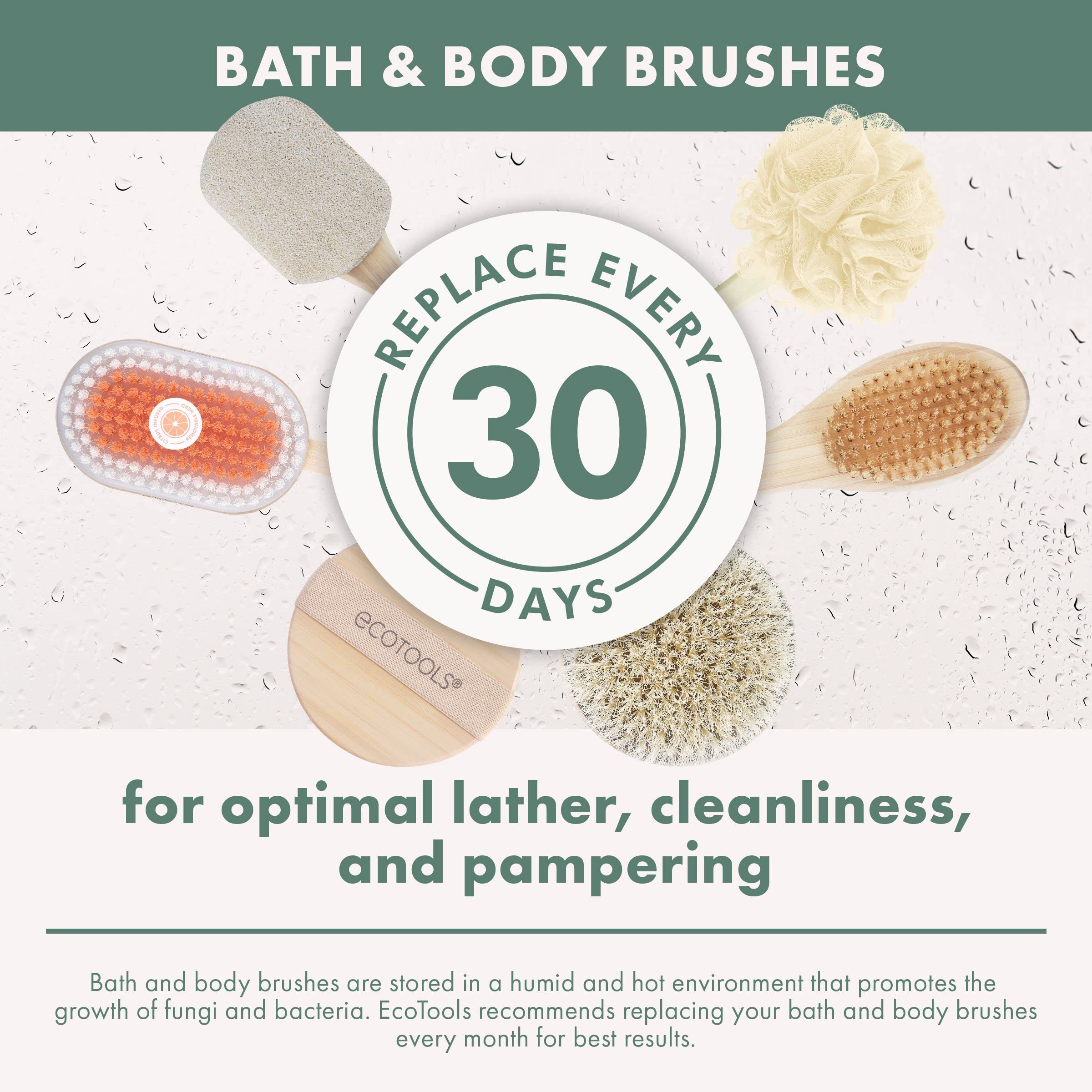 EcoTools Dry Body Brush, For Post Shower & Bath Skincare Routine, Removes Dirt & Promotes Blood Circulation, Helps Reduce Appearance of Cellulite, Eco-Friendly, Vegan & Cruelty-Free, 1 Count