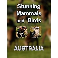 Stunning Mammals and Birds in Australia