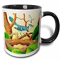 3dRose Vintage Bird Print Blue Jay Beautiful Bluejay Birds Nest Nature Art - Mugs (mug-364681-9)