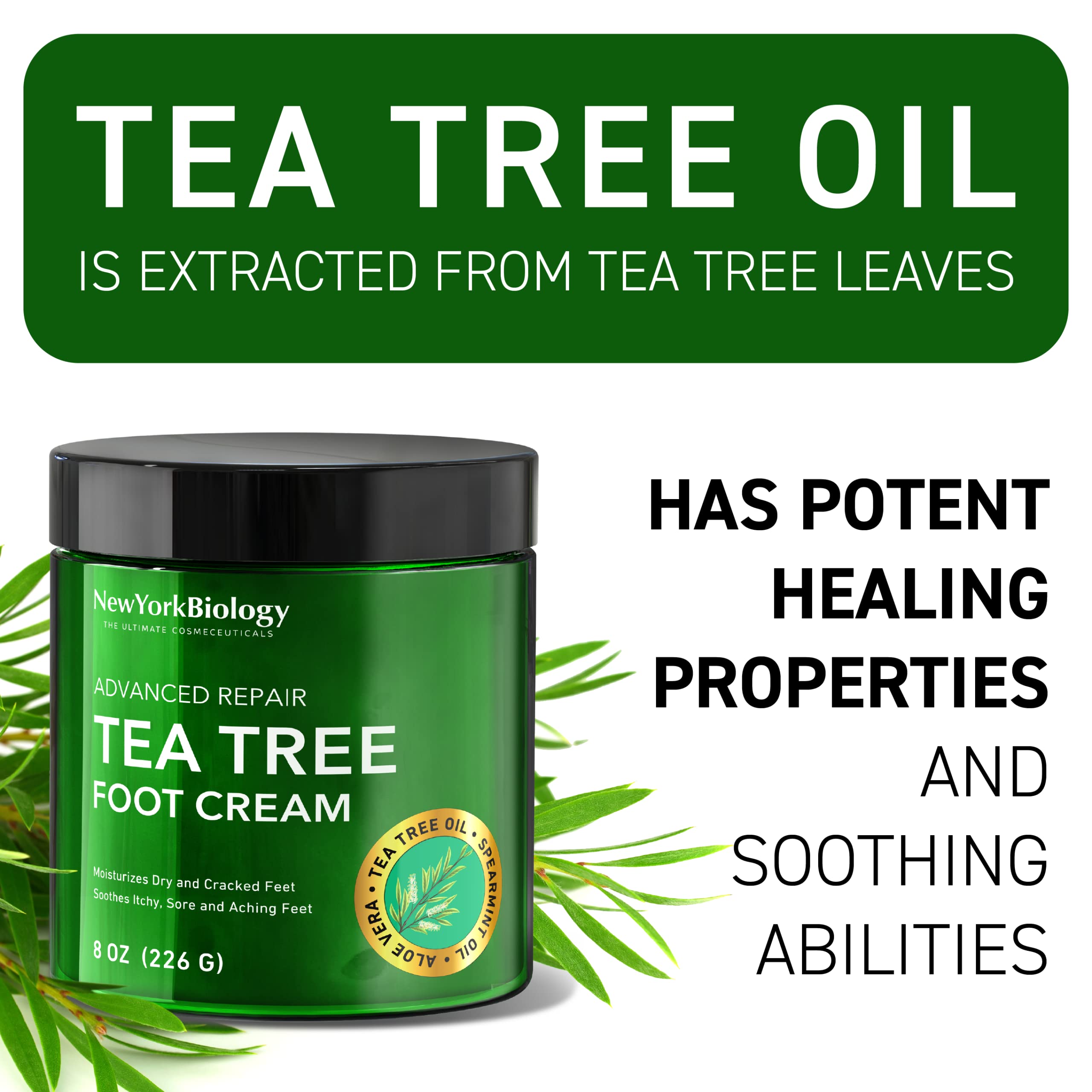 New York Biology Tea Tree Oil Foot Cream for Dry Cracked Feet, Athletes Foot, Nail Fungus, Jock Itch, Ringworm, Cracked Heels and Itchy Skin – Foot Cream - 8 oz