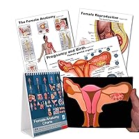 Female Anatomy (Flip Chart Set)