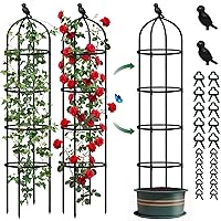 Garden Obelisk Trellis for Climbing Plants Outdoor, 6 Ft Tall Tower Tomato,Rose, Flowers, Grape, Pea, Cucumber Trellis, Rustproof Plastic Coated Metal Plant Support Trellis for Potted Plants (2)