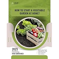 How to start a vegetable garden at home?: Guide and overview
