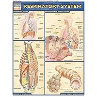 Respiratory System (Quick Study: Academic) Respiratory System (Quick Study: Academic) Cards