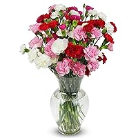 BENCHMARK BOUQUETS - 20 Stem Rainbow Mini Carnations (Glass Vase Included), Next-Day Delivery, Gift Mother’s Day Fresh Flowers