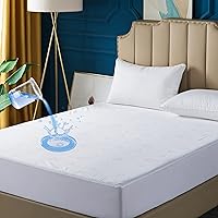 DOWNCOOL Queen Mattress Protector Waterproof Soft & Breathable, Noiseless Mattress Cover, Soft Breathable Fitted Sheets