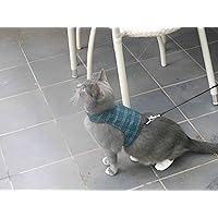 Mynwood Cat Jacket/Harness Black Watch Tartan Adult Cat