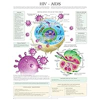 HIV AIDS e chart HIV AIDS e chart Kindle