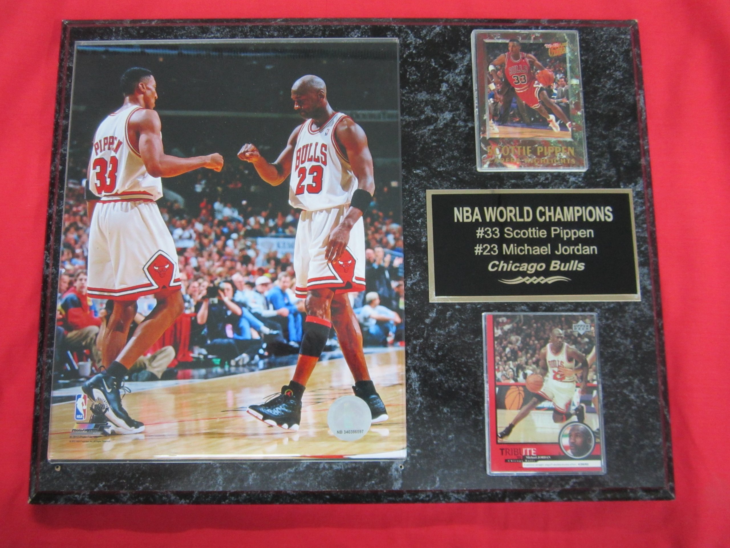 Michael Jordan Scottie Pippen Chicago Bulls 2 Card Collector Plaque #2 w/8x10 Photo