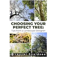 Choosing Your Perfect Tree: Tips from a Landscape Designer