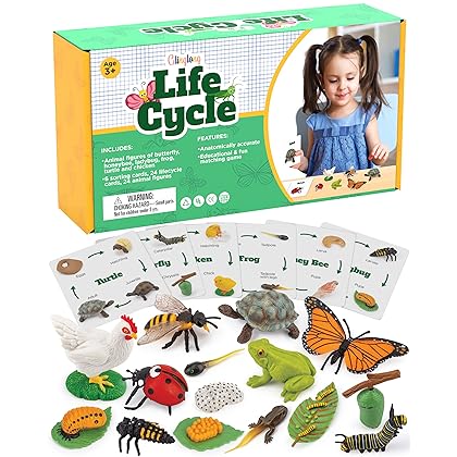 GLINGLONG Life Cycle Kit Toy Montessori - Realistic Figurine Toys, Kids Figure Animal Match Set with Frog, Ladybug, & More - Includes 24-Piece Animals, Educational & Fun Matching Game for Children 3+
