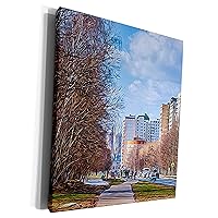 3dRose Small Moscow street in dormitory district in early... - Museum Grade Canvas Wrap (cw_272364_1)